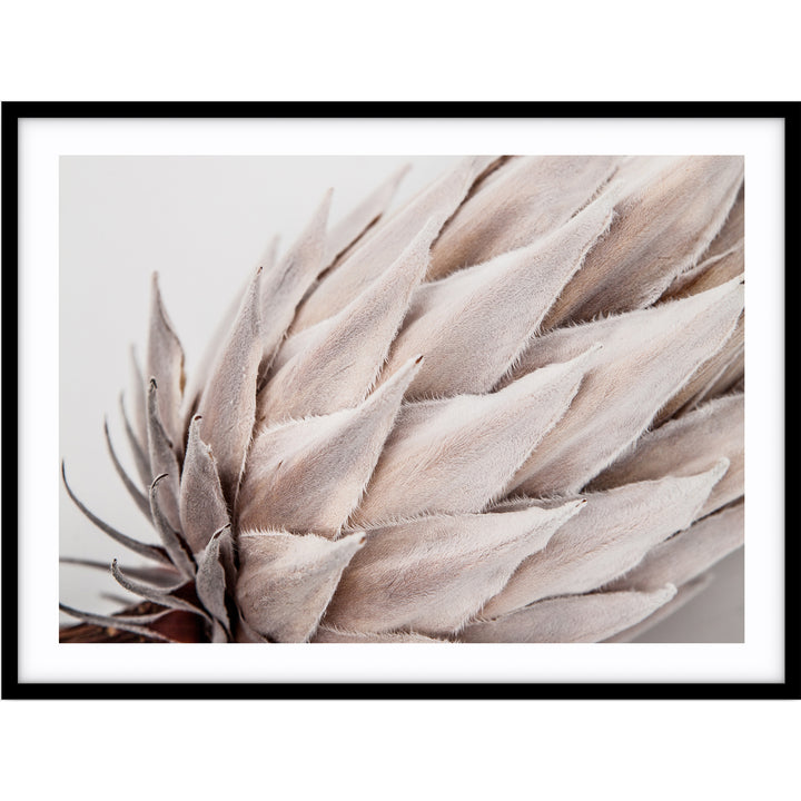 Ageing Gracefully III