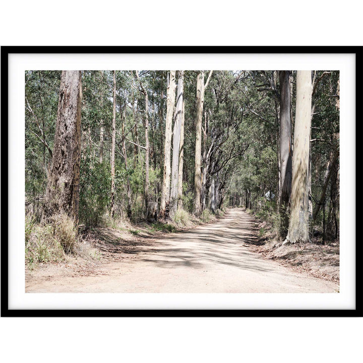 Gumtrees LS - The Hunter Valley