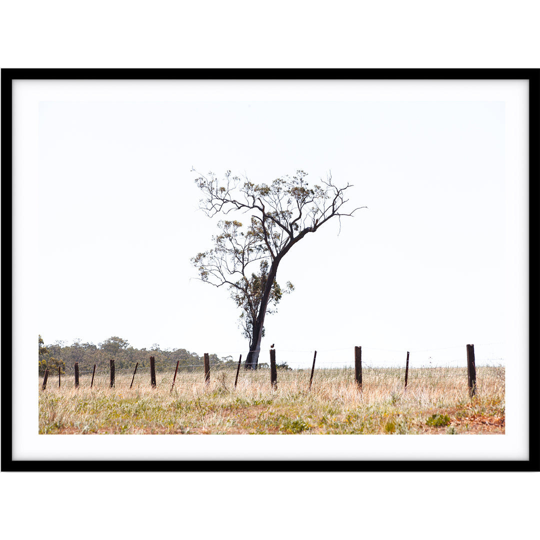 Outback no.2 - The Hunter Valley