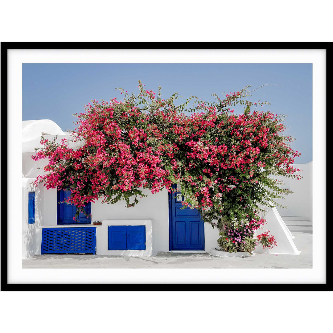 Bloomwashed Greece