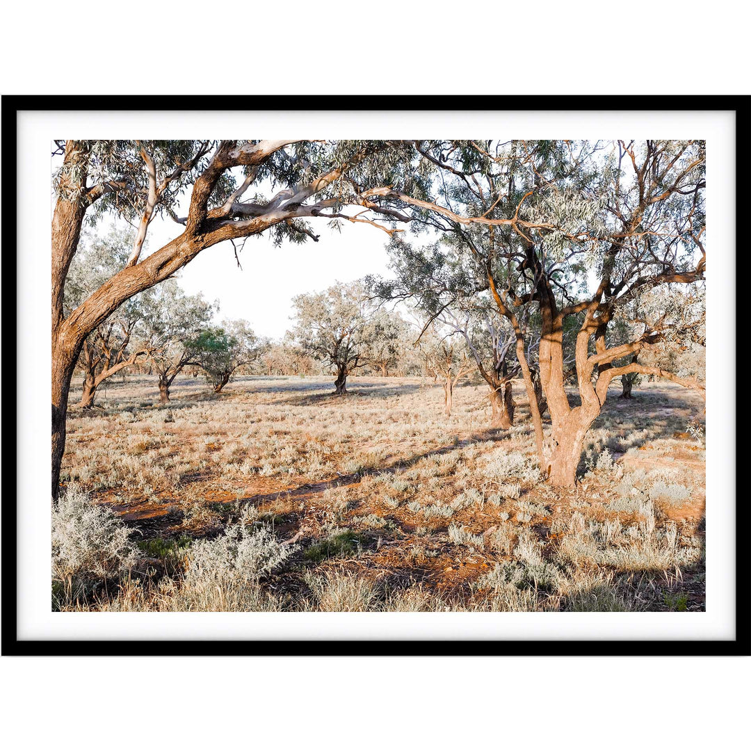 The Darling River Banks II