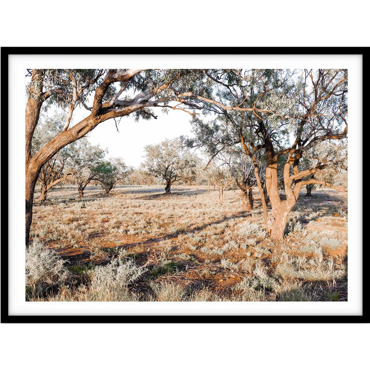 The Darling River Banks II