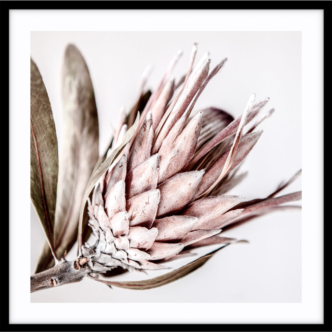 Native I - SQUARE (lighter version)