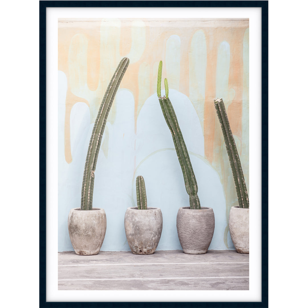 Bali Cactus no.2