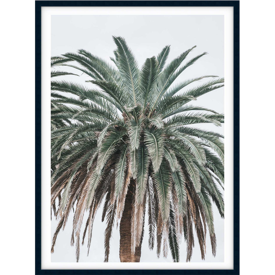 Jungle Palms no.2