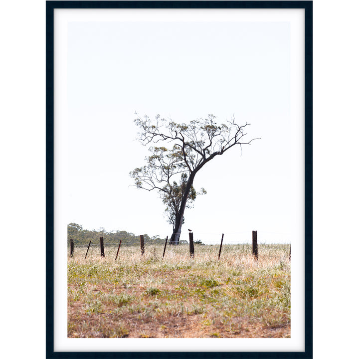 Outback no.1 - The Hunter Valley