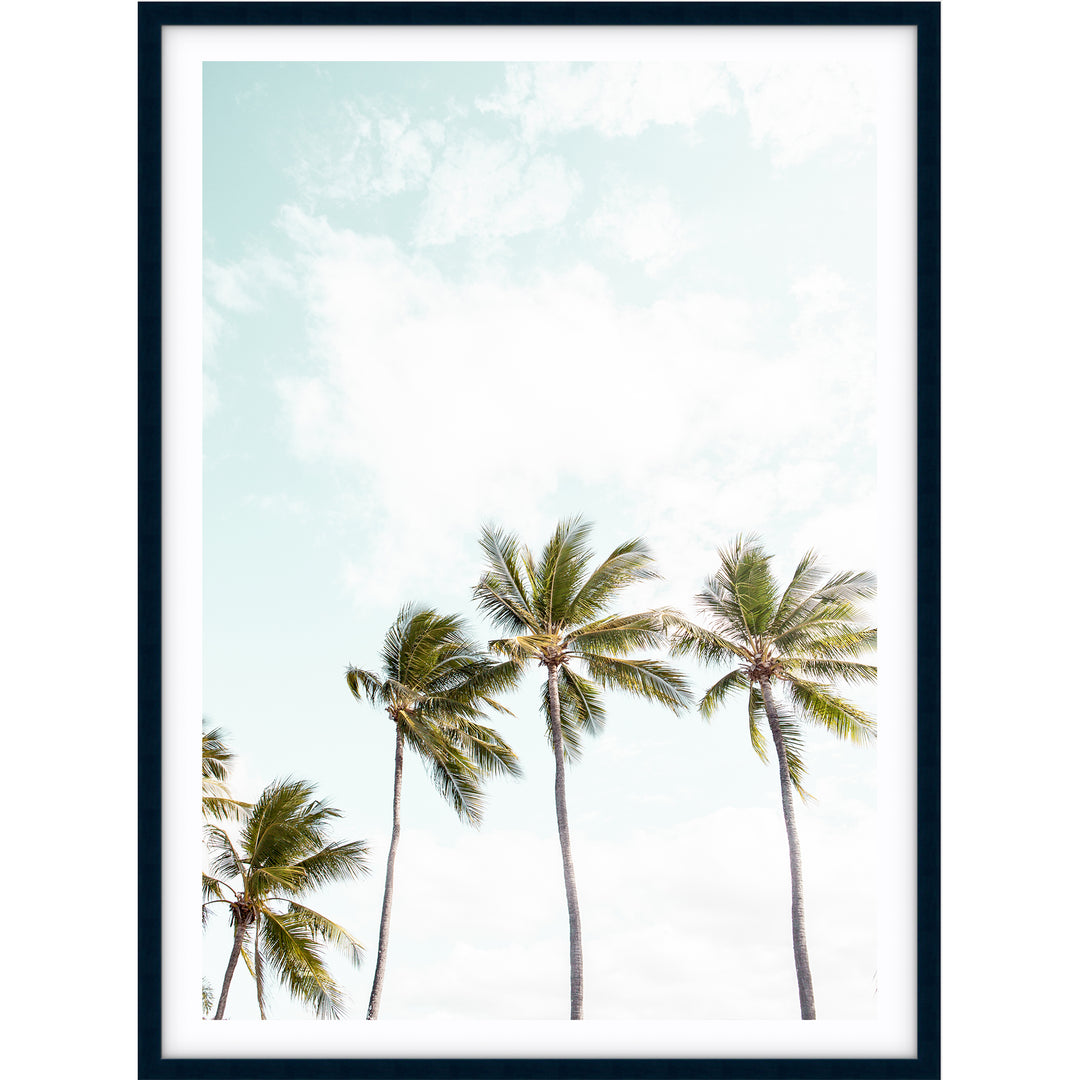 Tropical Palms I