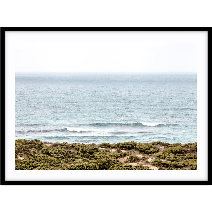 The Cove LS