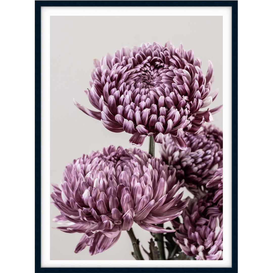 Mauve Chrysanthemum I