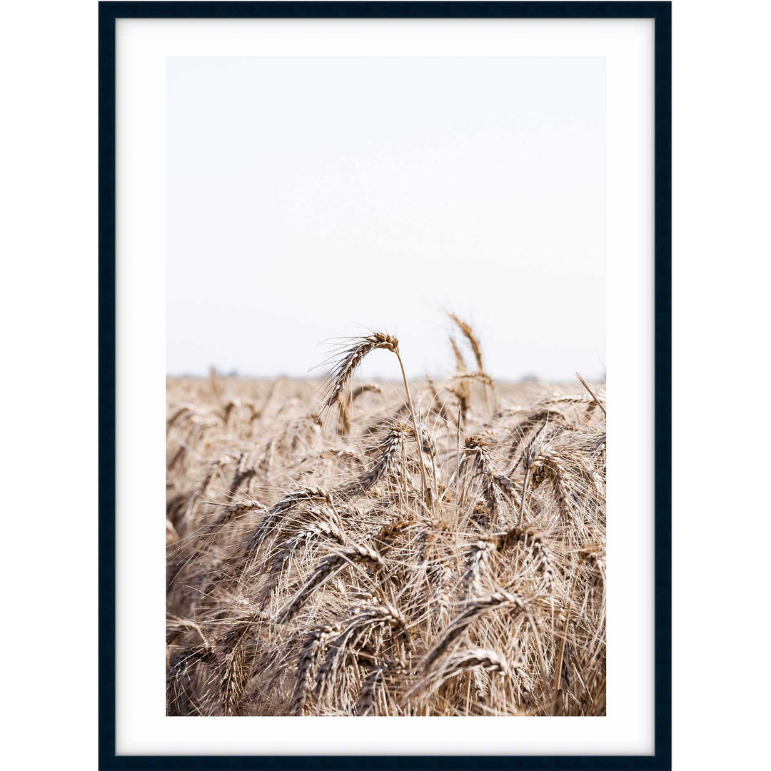 Wheat Farm I