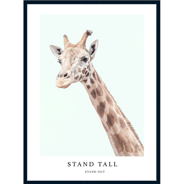 Stand Tall