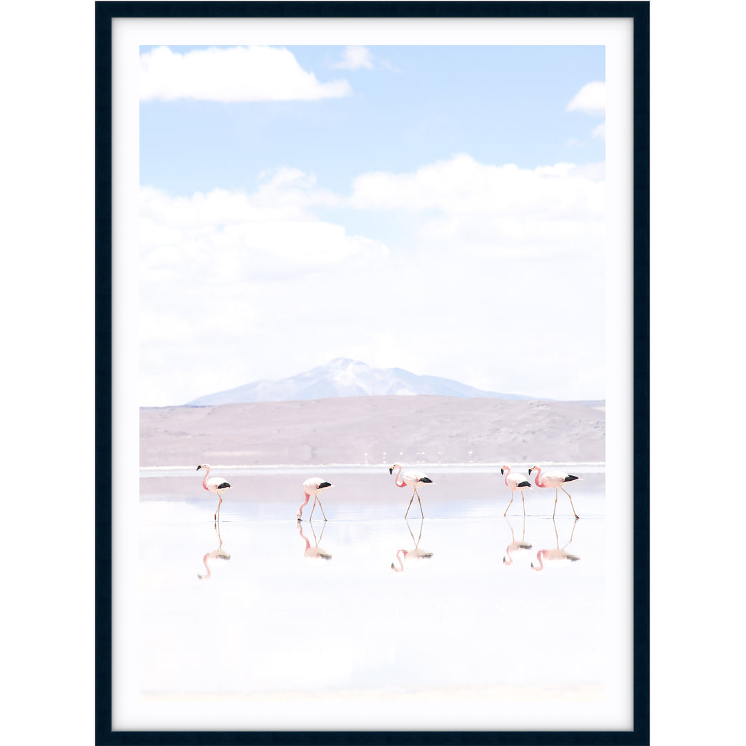 Flamingos - Chile