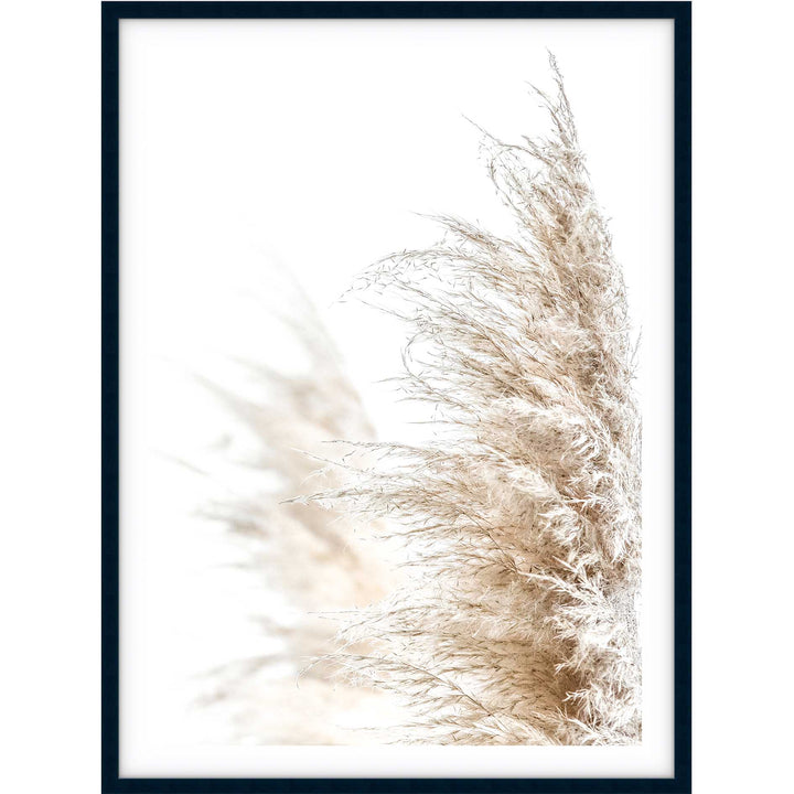 Pampas Grass no.1