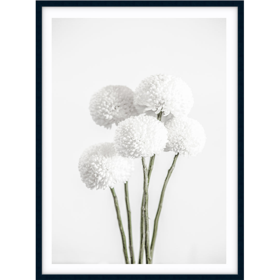 Chrysanthemums I