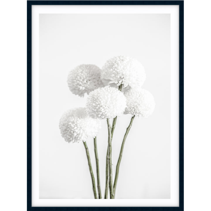 Chrysanthemums I
