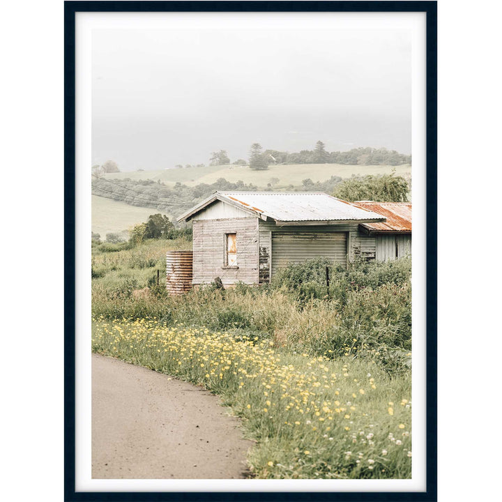 Country Side - Jamberoo