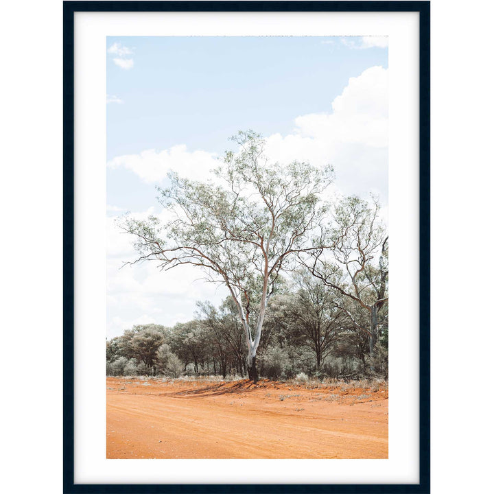 Gums of Gunabooka II
