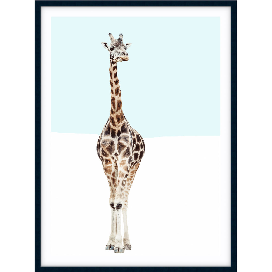 Giraffe - Blue