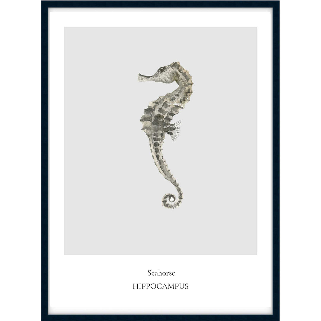 Seahorse