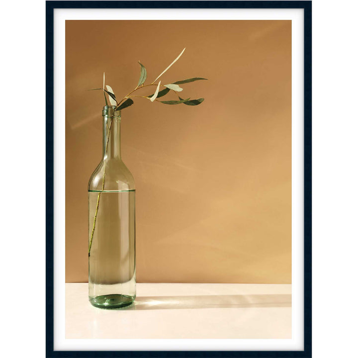 Eucalyptus Stem