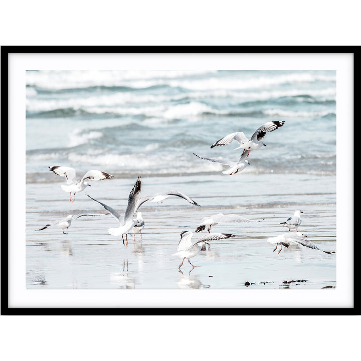 Wings - Warrnambool