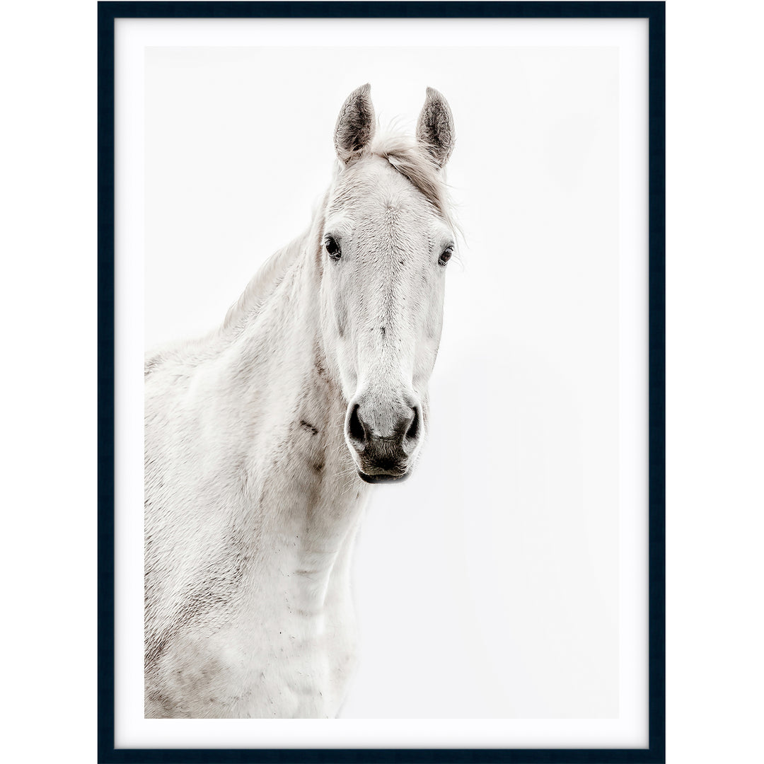 Silver Horse I - PORTRAIT