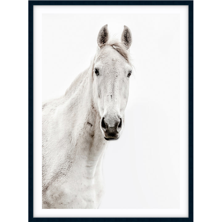 Silver Horse I - PORTRAIT