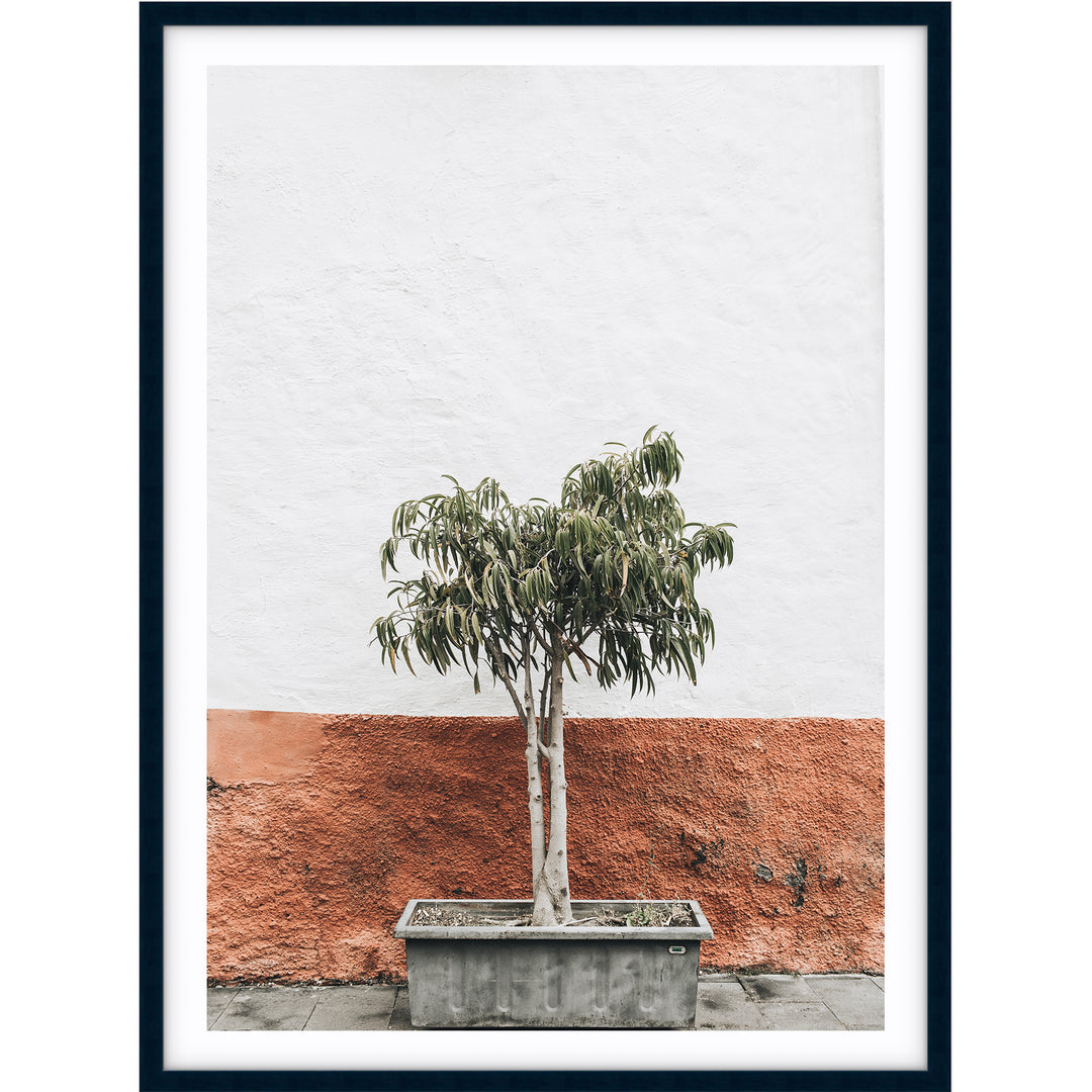 Terracotta Wall - Santorini