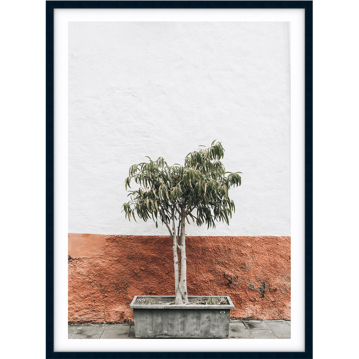 Terracotta Wall - Santorini