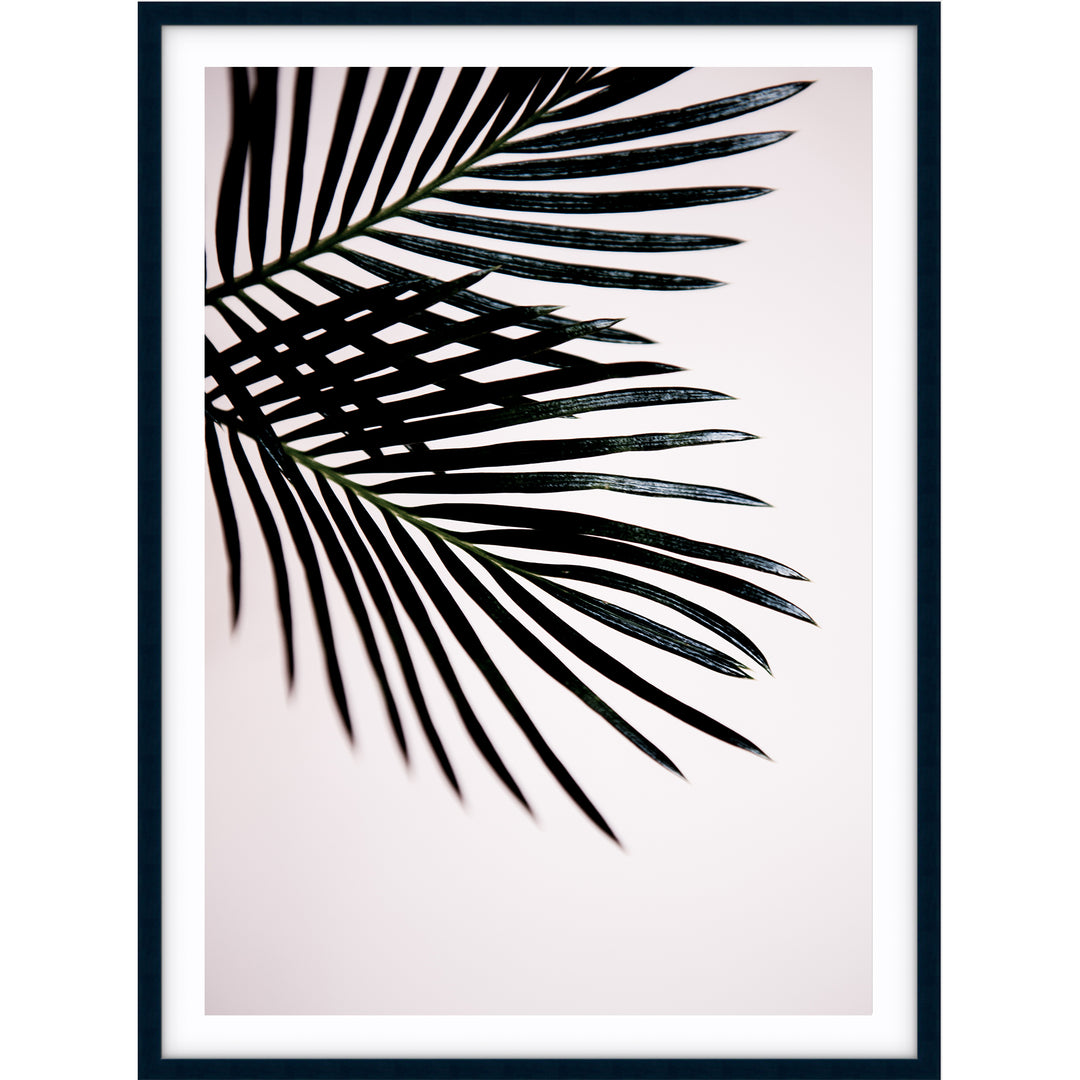 Sago Palm I