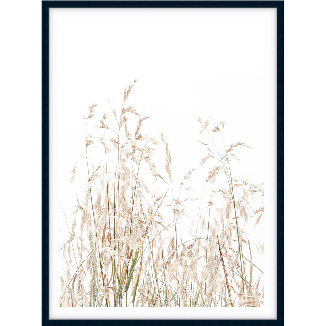 Country Grass no.1