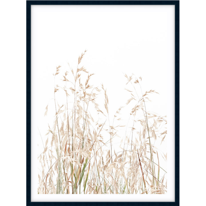 Country Grass no.1