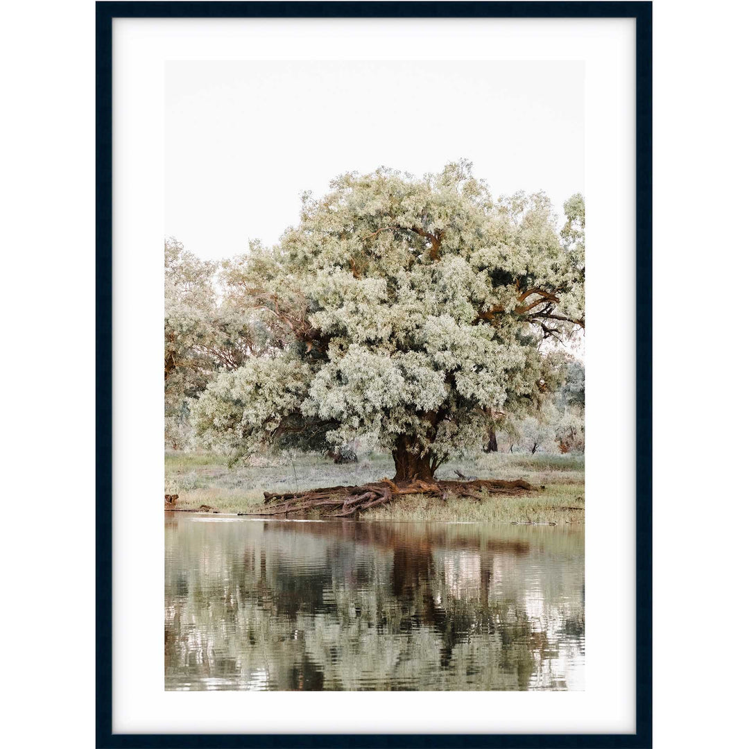 The Darling River Flooded I