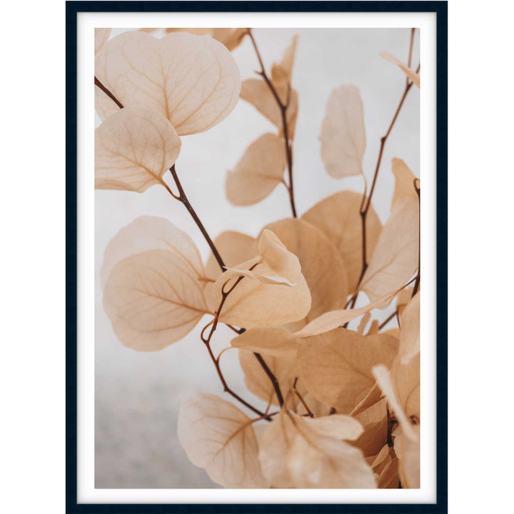 Dried Eucalyptus no.5  - Light