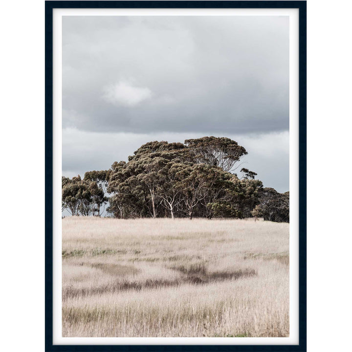 Country Life - Victoria