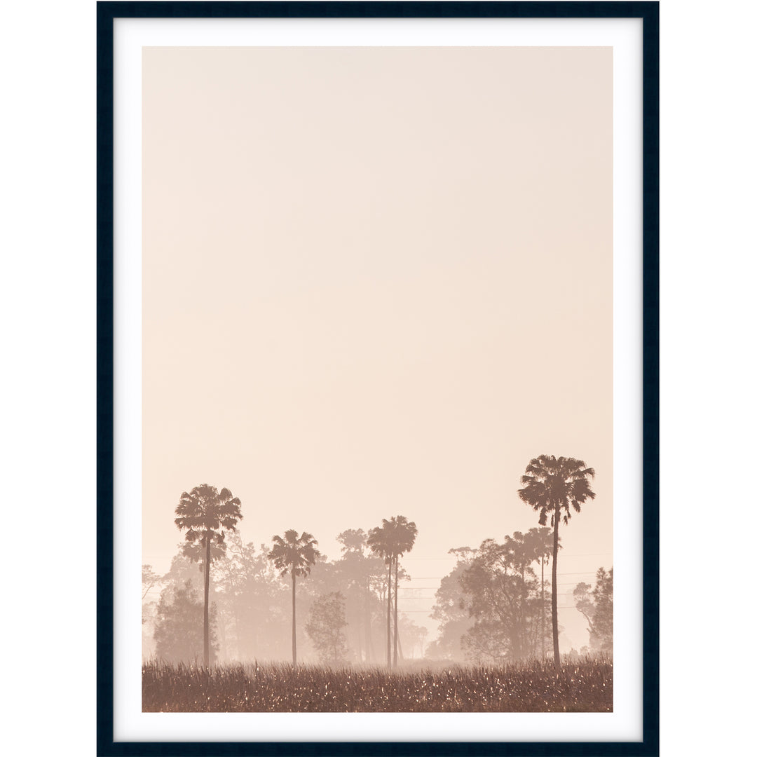 Sunrise Palms no.1 - Stockton Beach