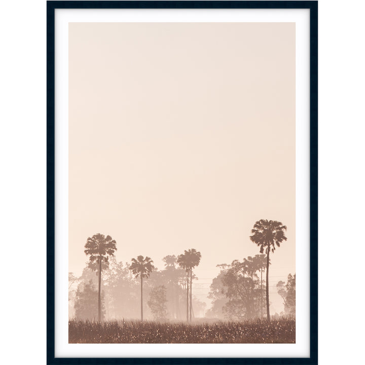 Sunrise Palms no.1 - Stockton Beach