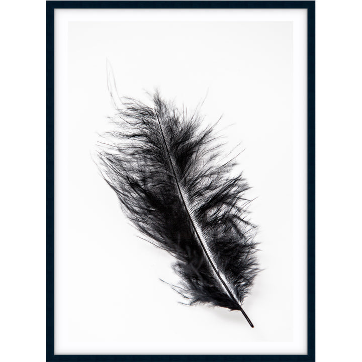 Black Feather