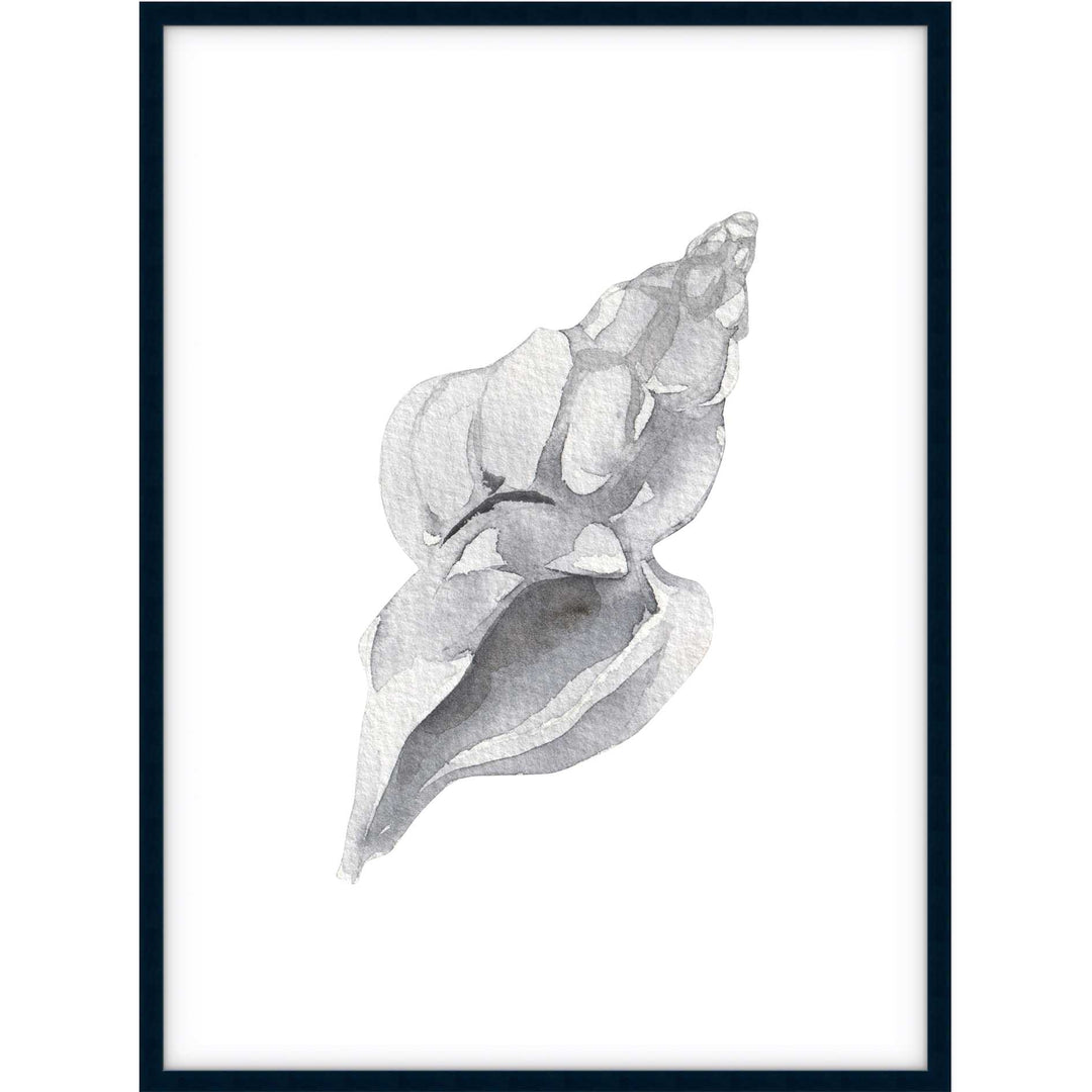 Shell no.1