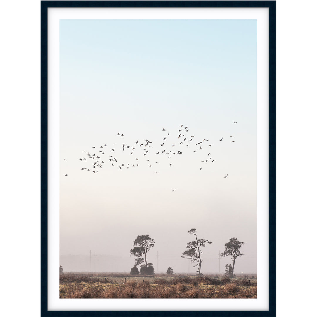 Birds At Sunrise no.1 - Stockton Beach