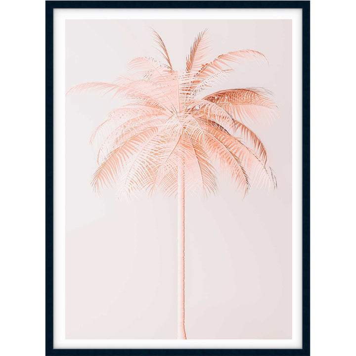 Peachy Palm