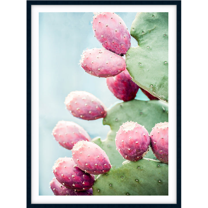 Prickly Pear