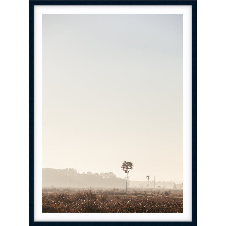 Sunrise Palms no.3 - Stockton Beach