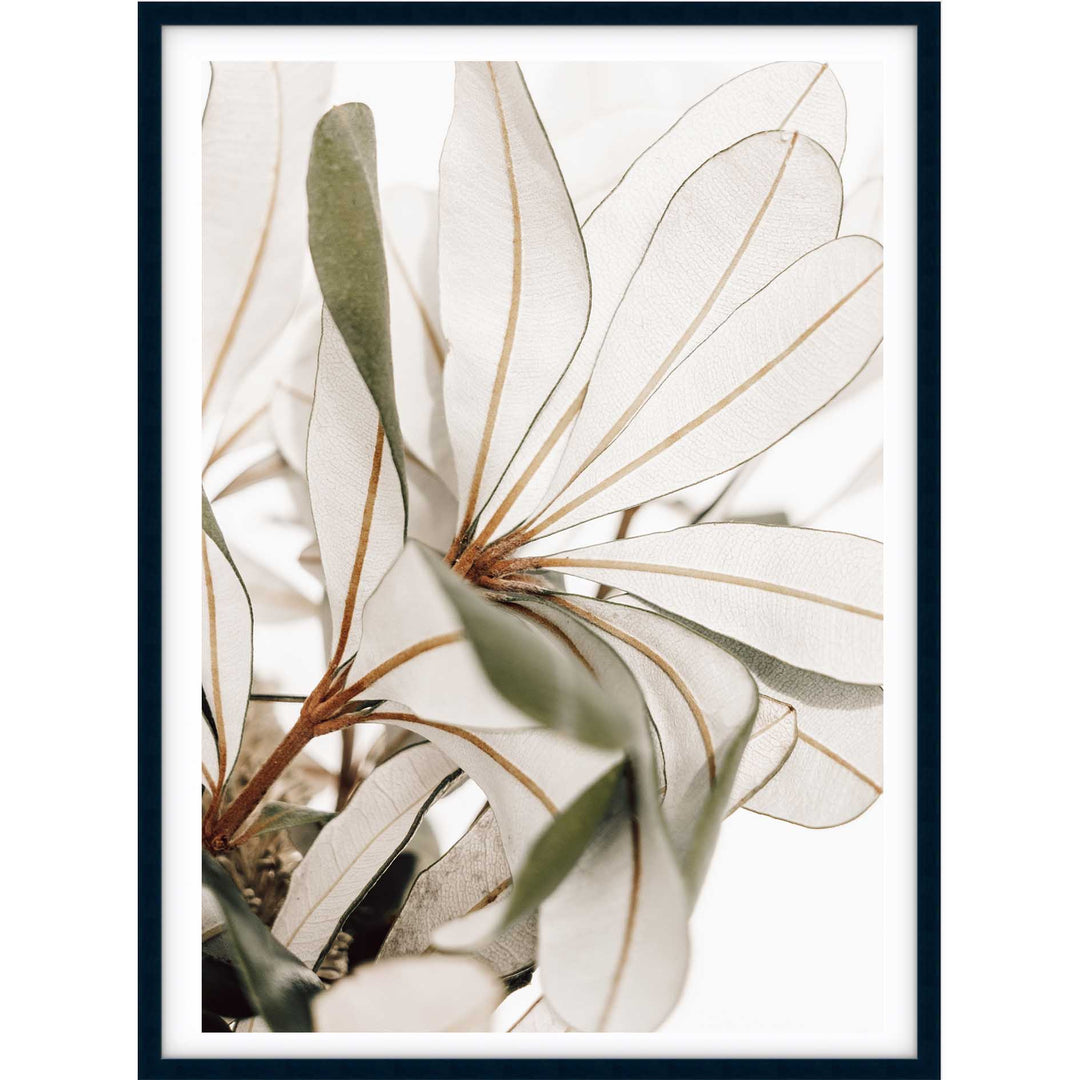 Fallen Foliage no.2