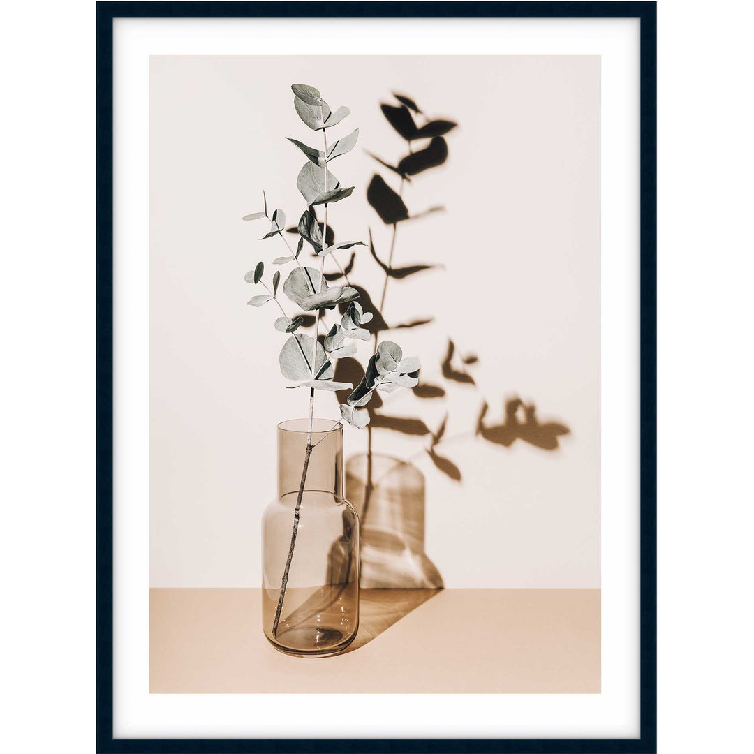 Antique Eucalyptus