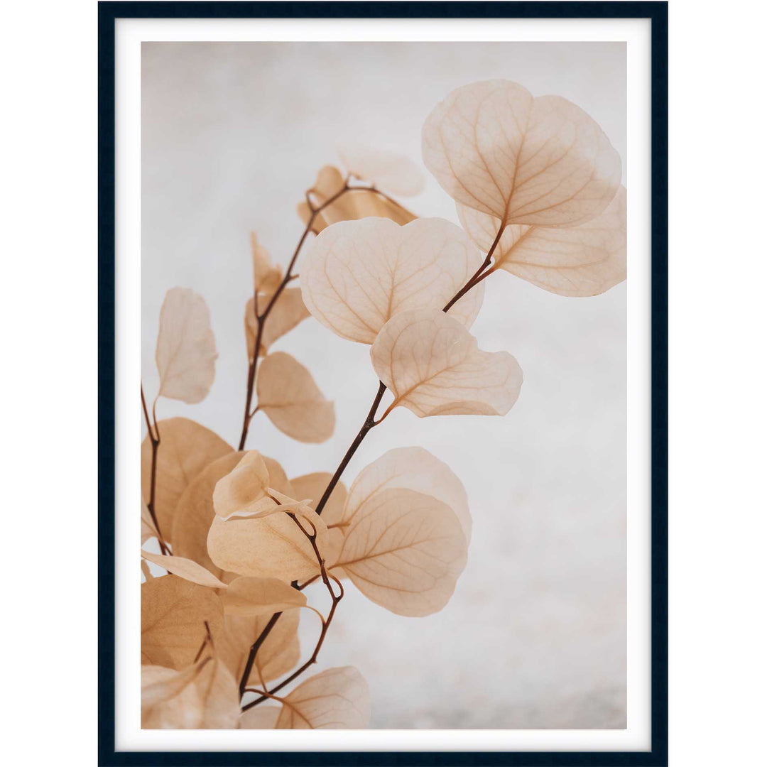 Dried Eucalyptus no.6  - Light