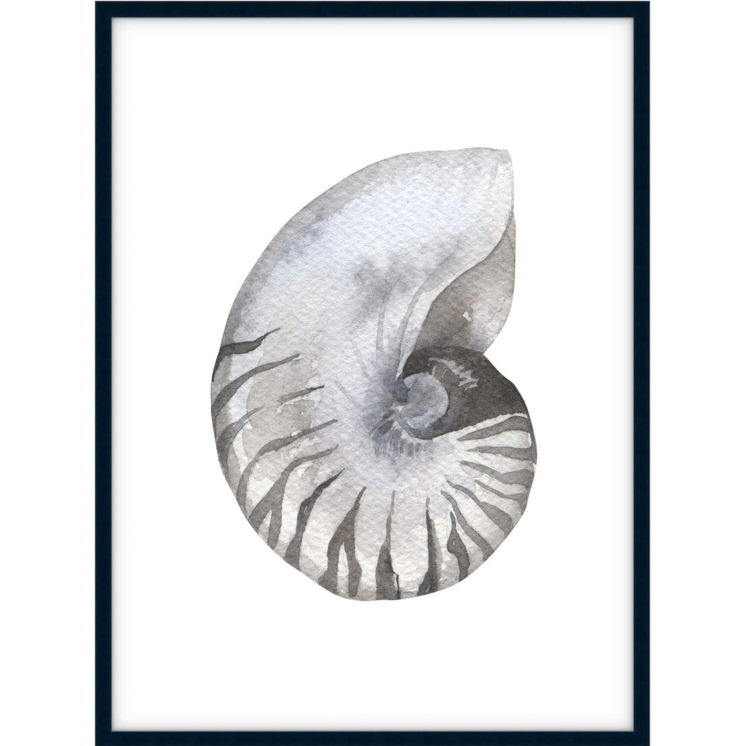 Shell no.2