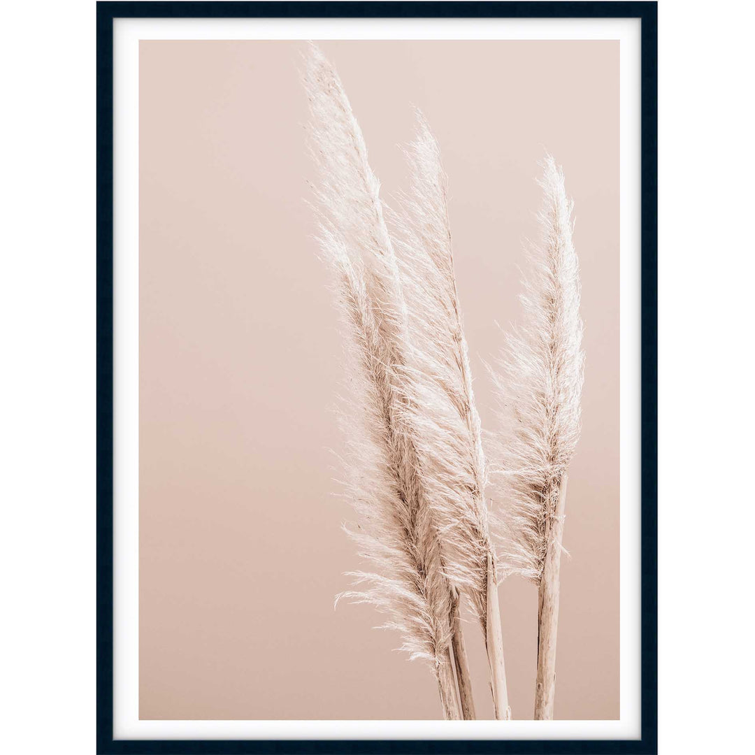 Pampas on Peach