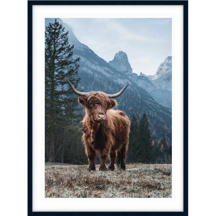 Wild Highland I