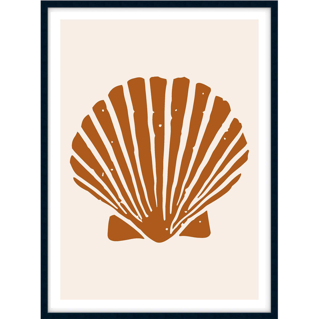 Terracotta Shell no.2